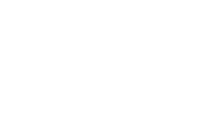 MVI Logo White